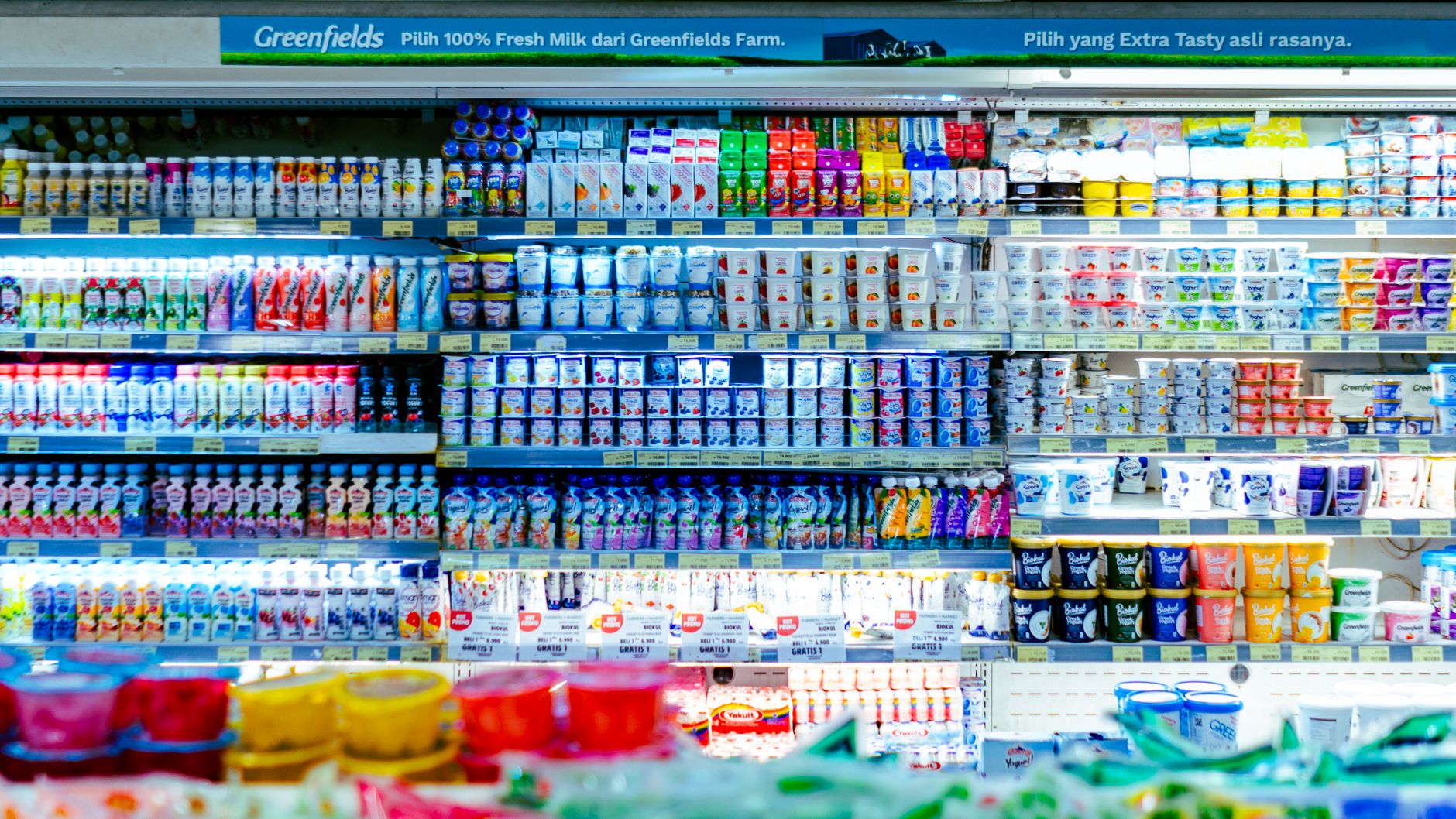 Probiotiques et réfrigérateur : mythes et vérités