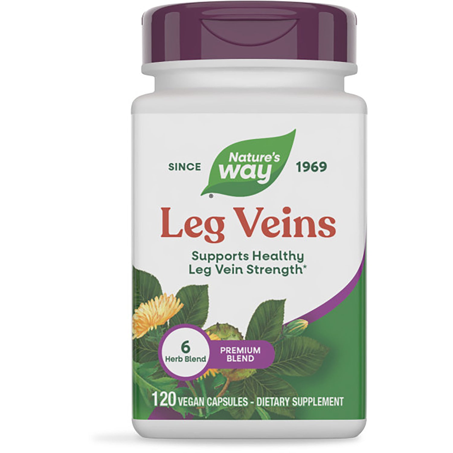 Leg Veins
