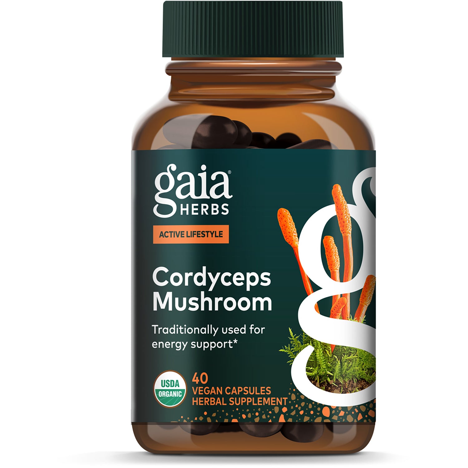 Cordyceps Mushroom