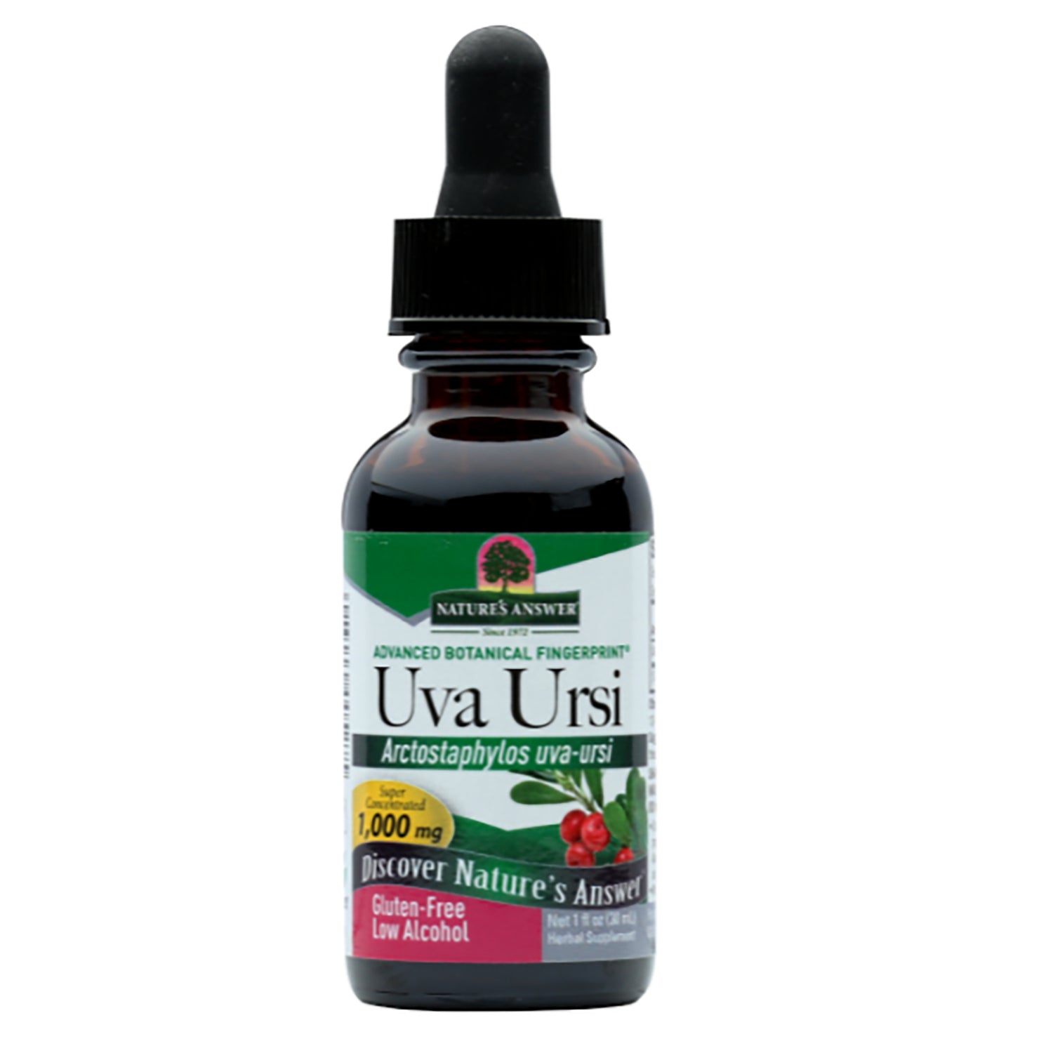 Uva Ursi