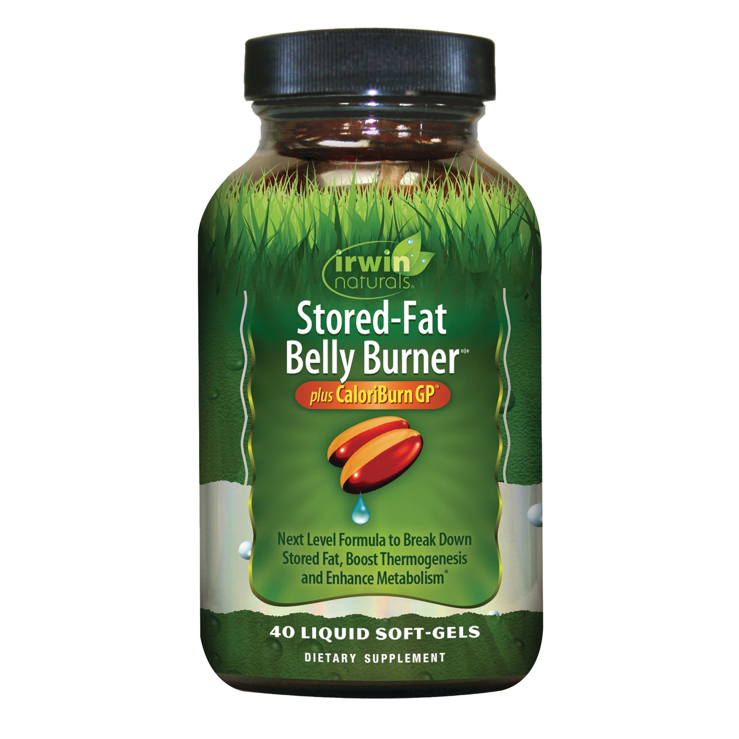 Stored-Fat Belly Burner plus CaloriBurn GP