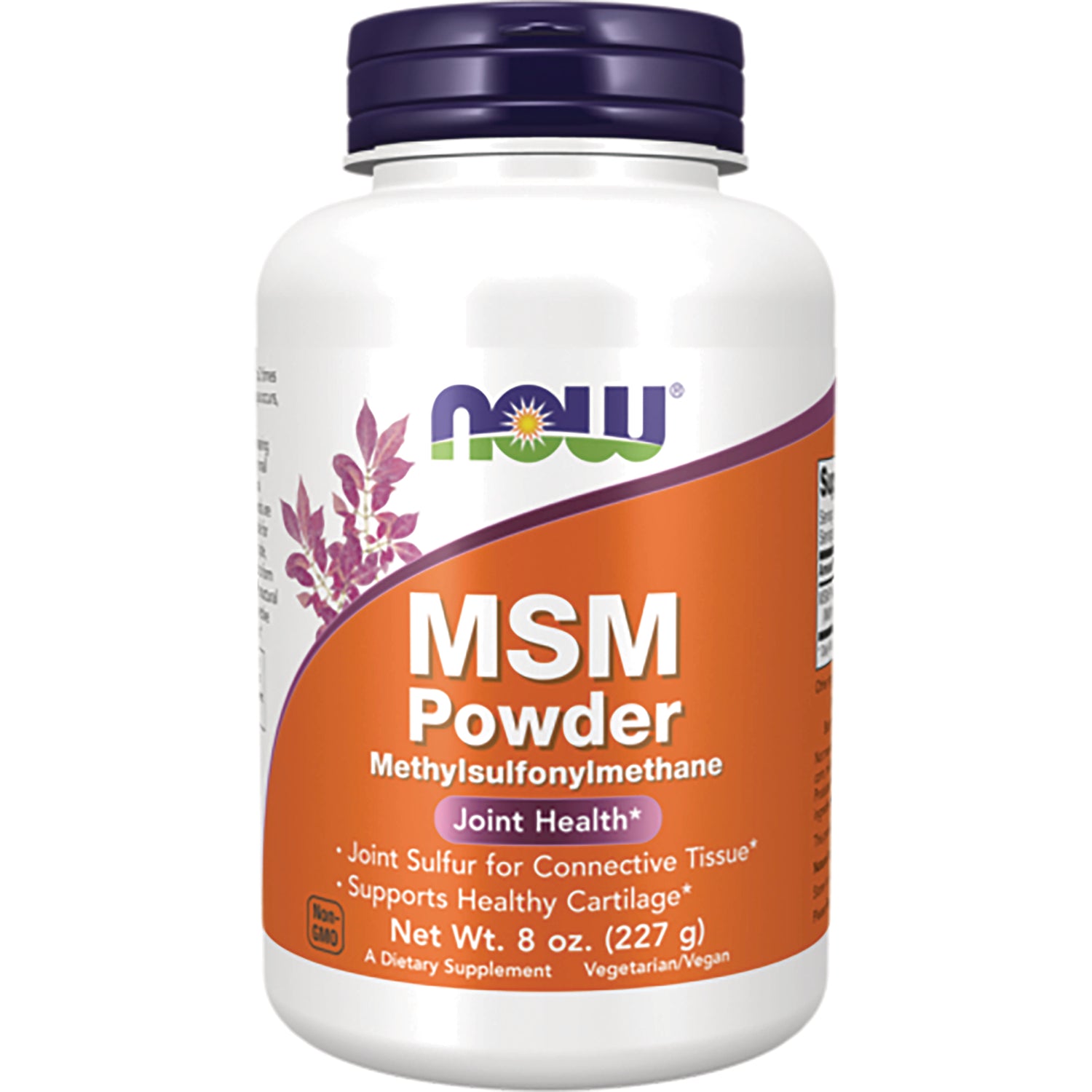 MSM Powder