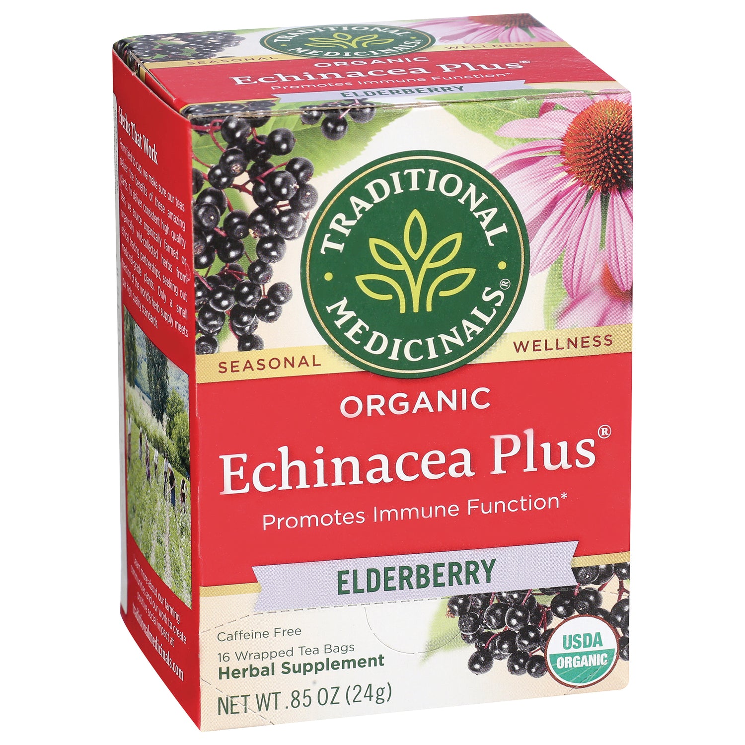 Organic Echinacea Plus Tea - Elderberry