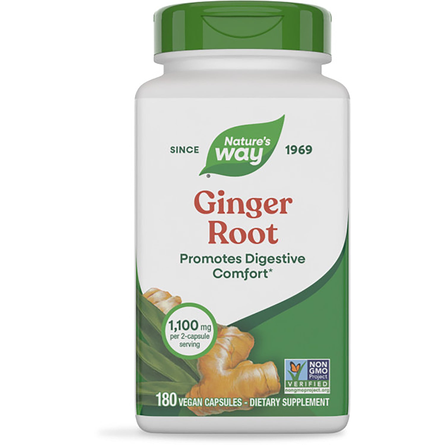 Ginger Root