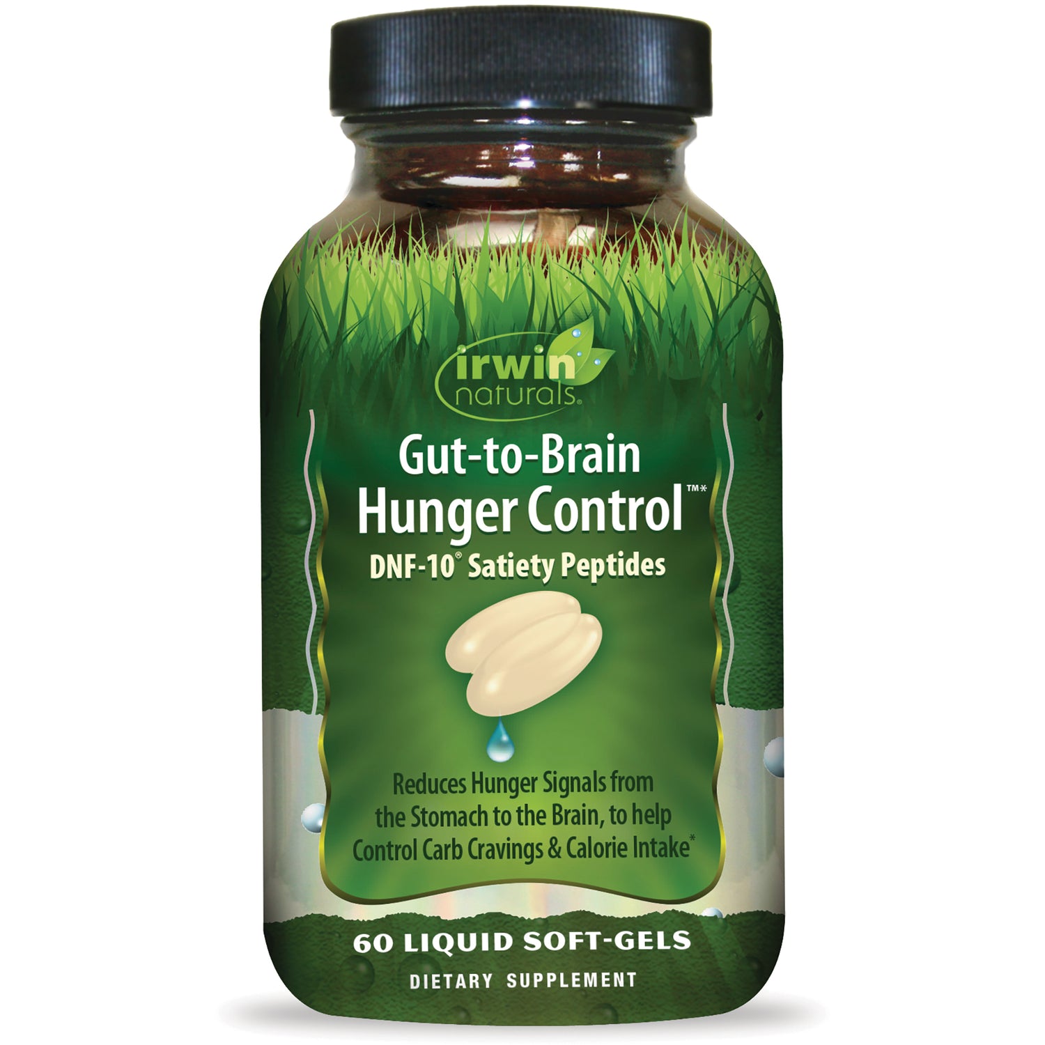 Gut-to-Brain Hunger Control