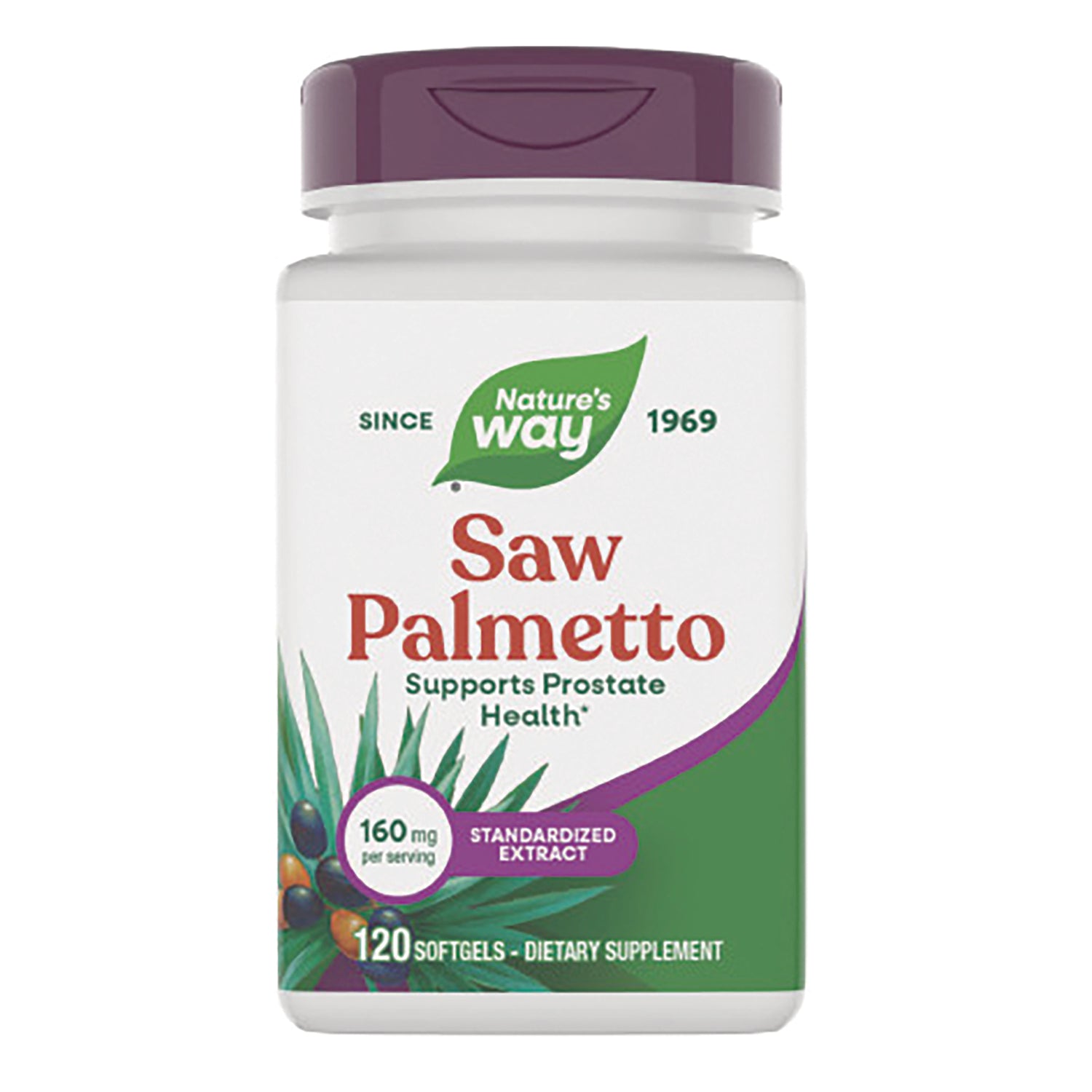 Saw Palmetto