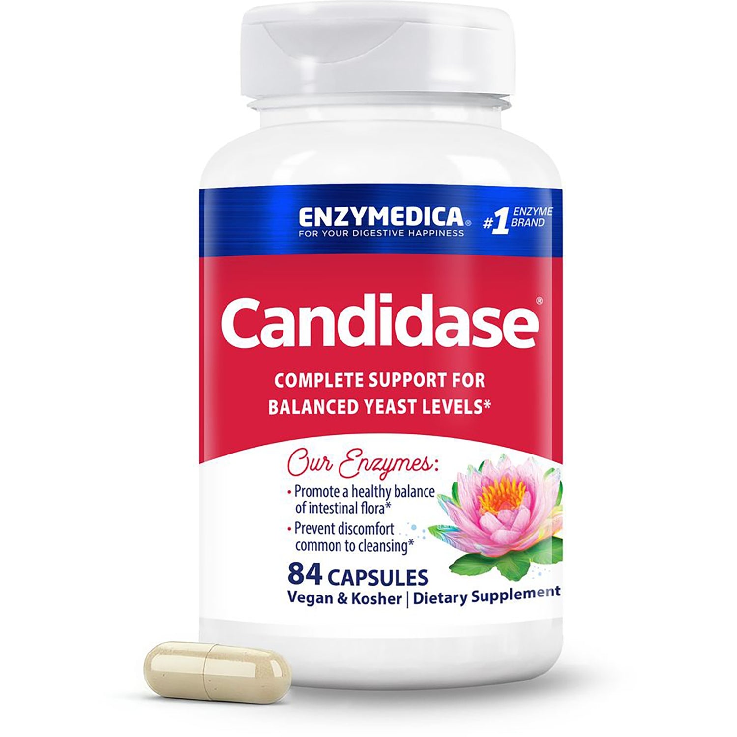 Candidase