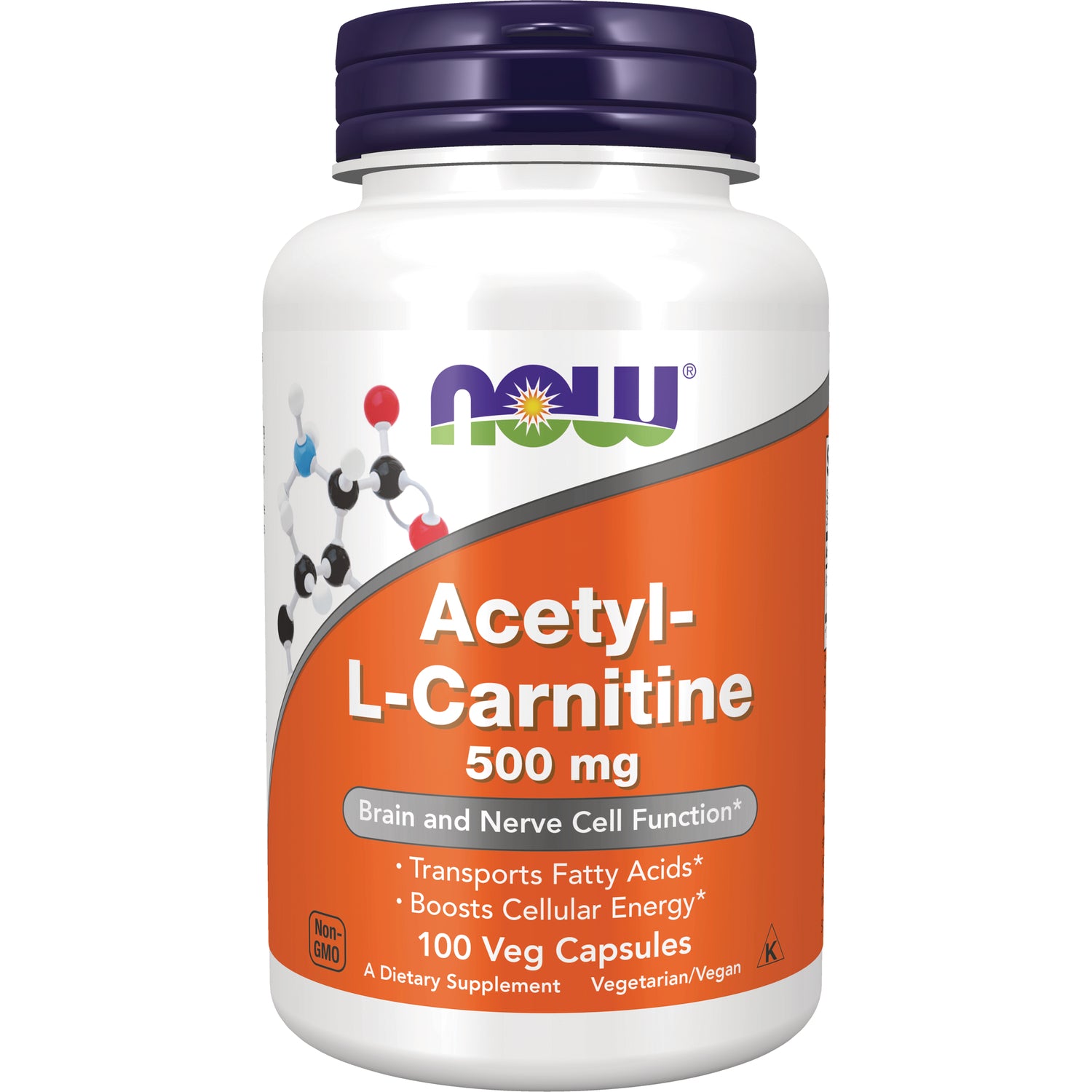 Acetyl L-Carnitine