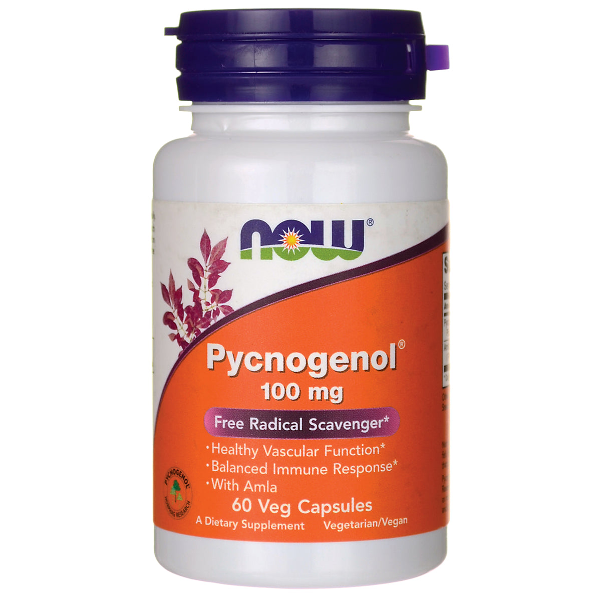 Pycnogenol