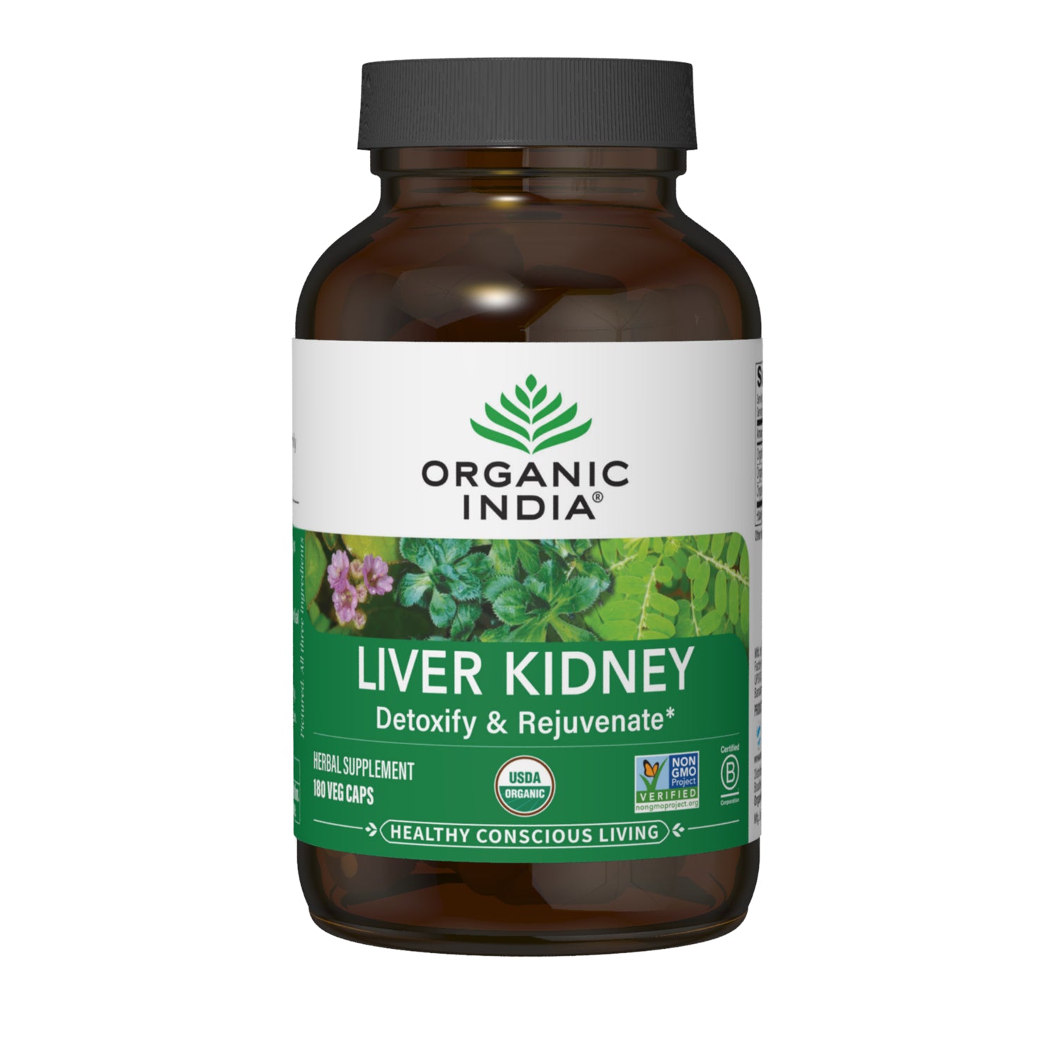 Liver Kidney